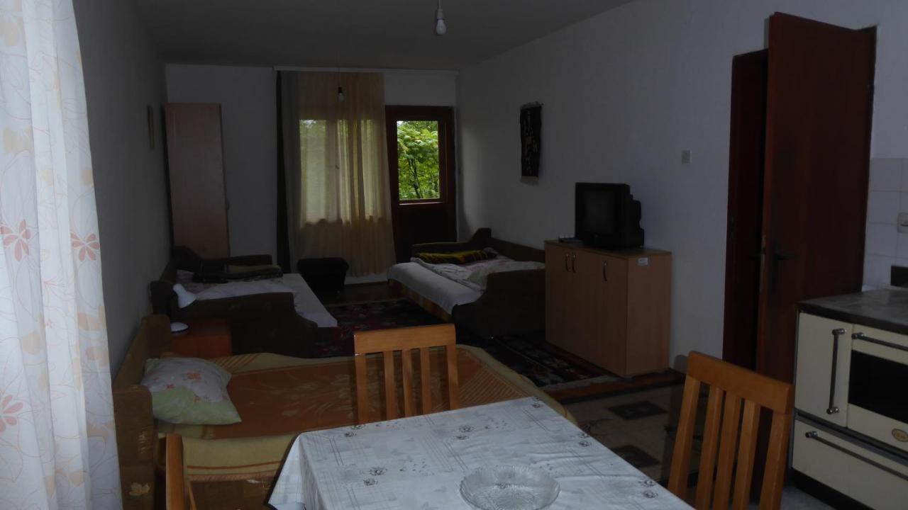 Guest House Pribojska Banja Екстериор снимка