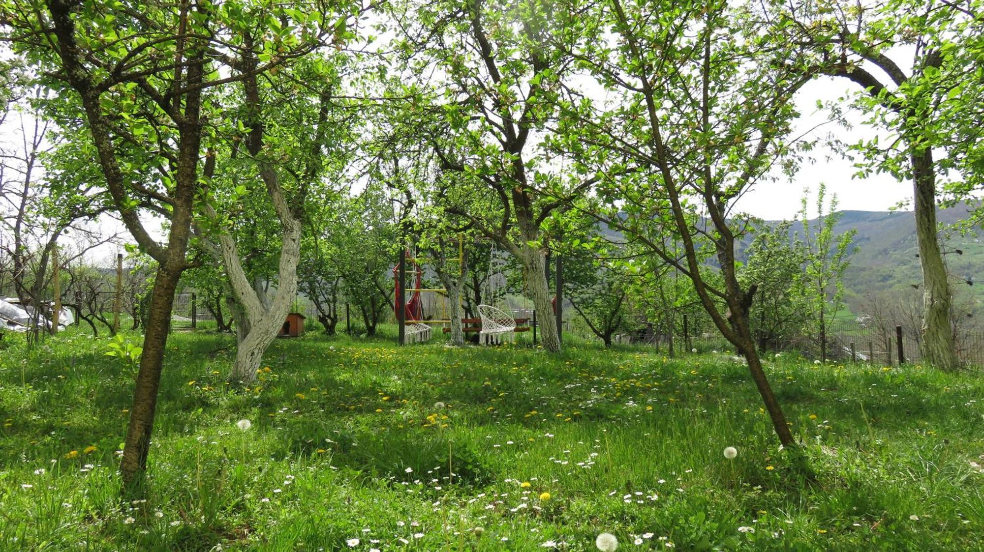 Guest House Pribojska Banja Екстериор снимка