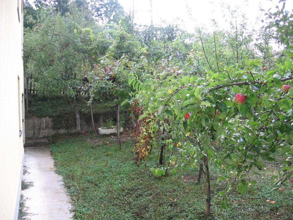 Guest House Pribojska Banja Екстериор снимка