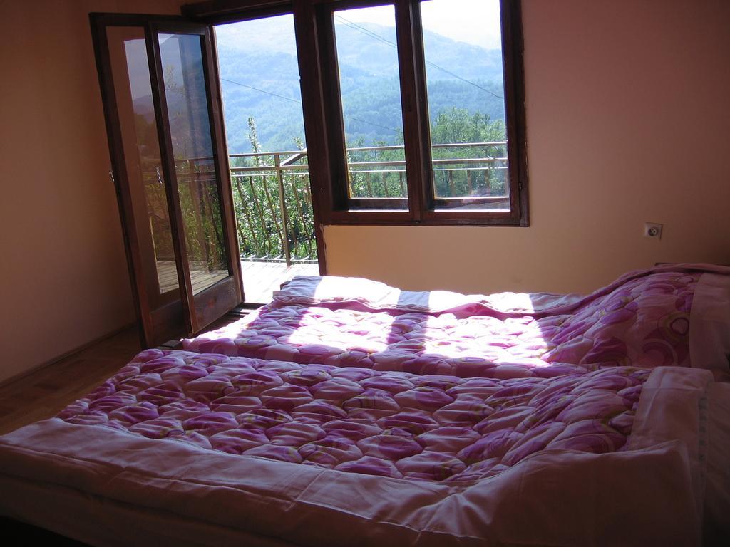 Guest House Pribojska Banja Екстериор снимка