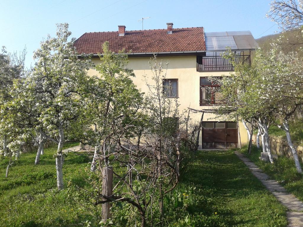 Guest House Pribojska Banja Екстериор снимка